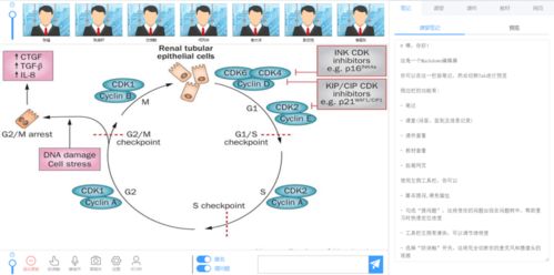 開發者實戰 不怕“網課又雙叒叕卡了”，在校生自建在線教育系統逆襲讓技術教育更高效